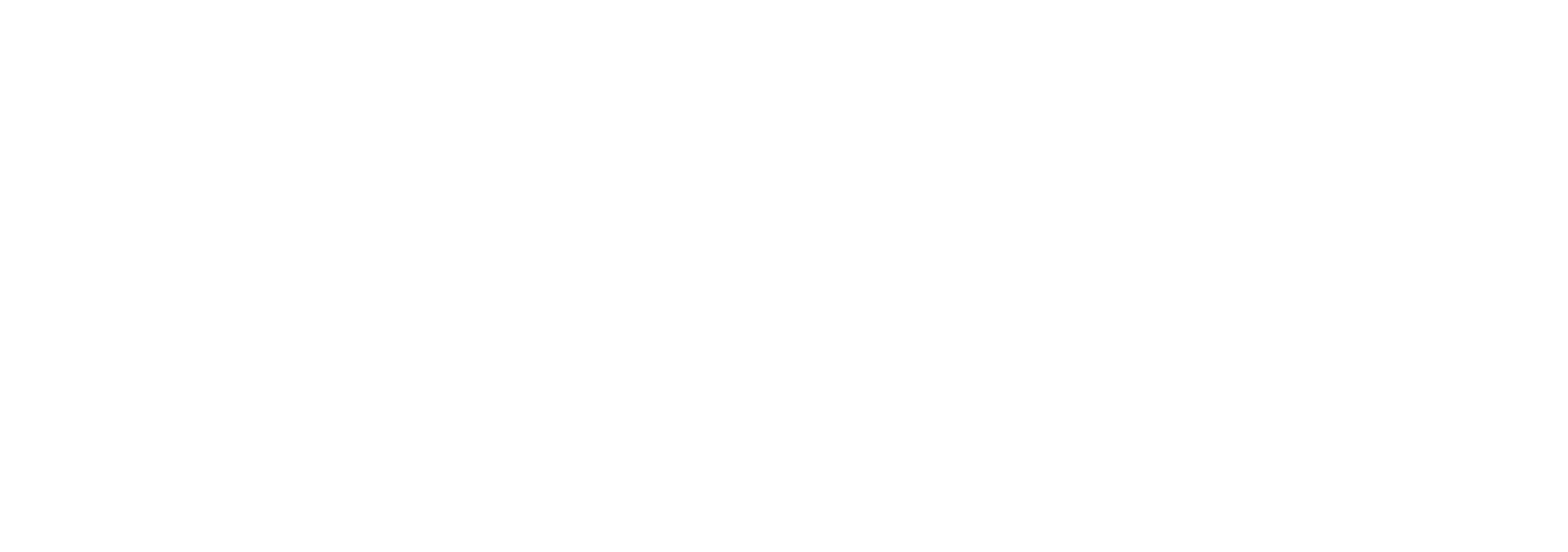 Het grote gelukscongres - Wit kopie